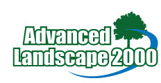 Advanced Landscape 2000